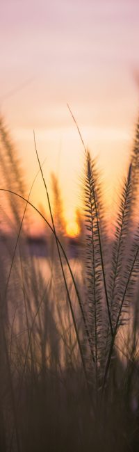pexels-themomentier-5174289