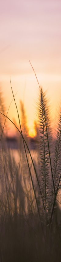 pexels-themomentier-5174289
